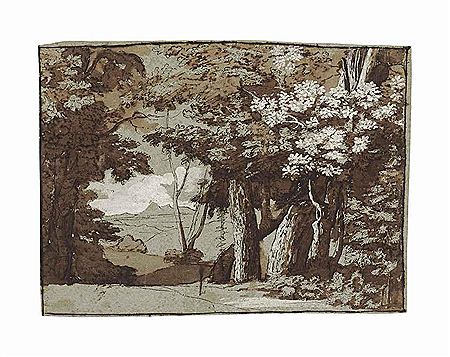 A wooded landscape