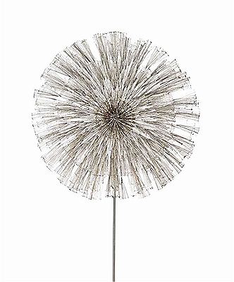 Dandelion from the Hilton Hotel, Denver, Colorado
