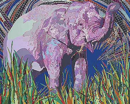 Elefante Rayas