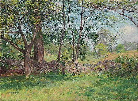 Summer Landscape