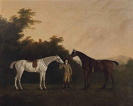 A groom holding a grey and a dark bay hunters in a wooded landscape, a tower beyond