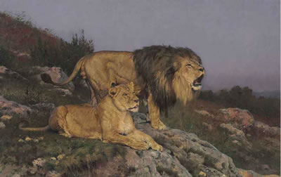 The Lion's Domain