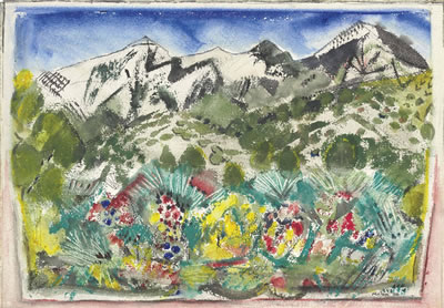 Side Slope of Taos Range, New Mexico