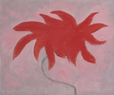 Poinsettia