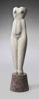 Symmetrical Torso