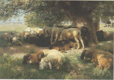 Midday Rest