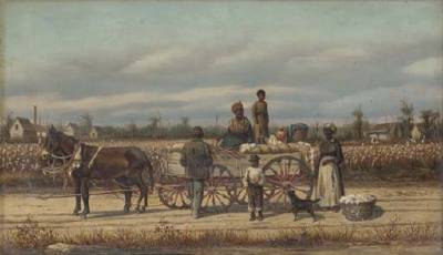 Noon Day Pause in the Cotton Field