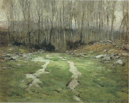 Edge of the Woods