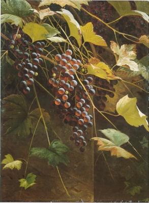 Wild Grapes