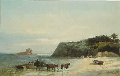 Beach and Cliffs at Nonquitt