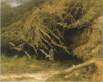 Forest With Ducks and Frogs