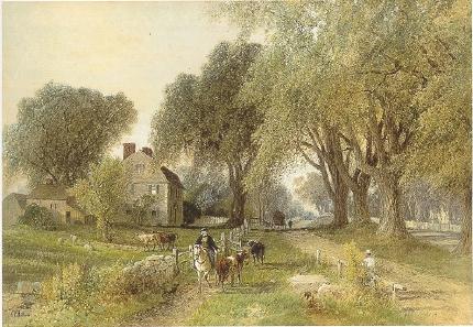 Country Life
