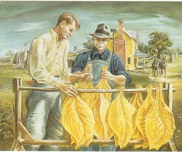 Unstringing Tobacco Leaves