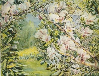 Magnolias and Jonquils