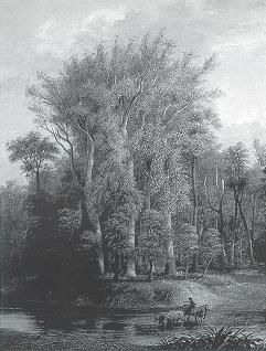 Autumn by George Harvey - Auction record, sale price, and art valuation. Compare with similar artists and explore comparable artworks.