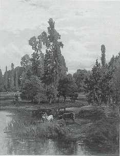 Grazing at Water's Edge by Charles Volkmar - Auction record, sale price, and art valuation. Compare with similar artists and explore comparable artworks.