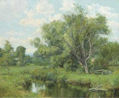 The Summer Pond