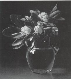 White Magnolias