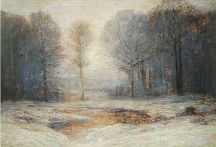 Snowy Landscape