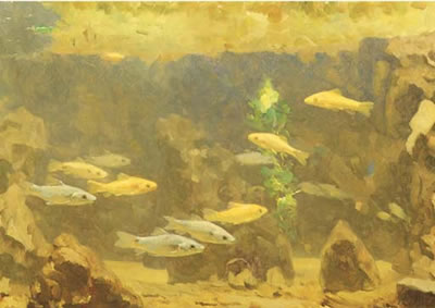 Underwater