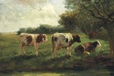 Cows in a sunlit polder landscape