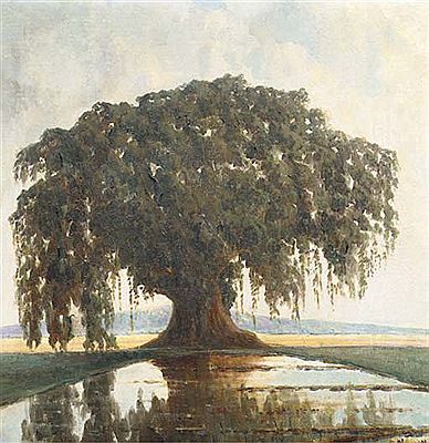 Waringin tree