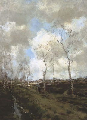 Heideweg in Drenthe: birches along a country path