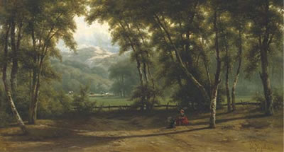 Late afternoon in a wooded valley