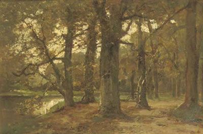 Vijver in 't Haags Bosch: a pond in a forest