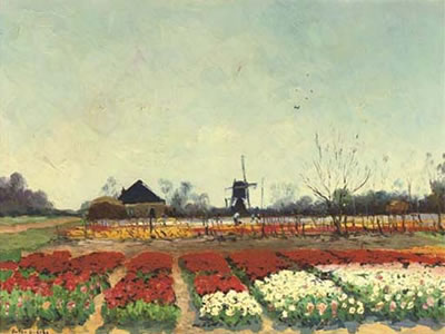 Bollenveld - Bulbfield