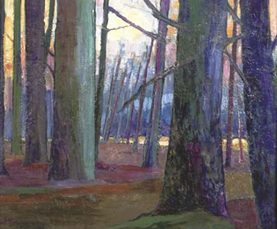 A forest