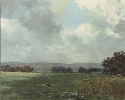 De Steeg