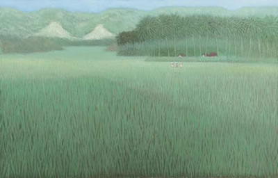 Fields and Hills