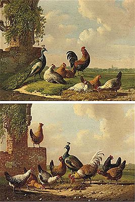 Poultry by a ruin