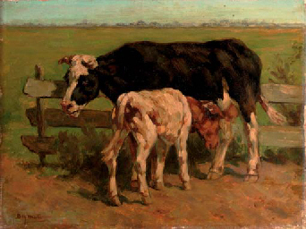 The Young Calf