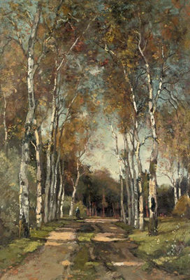 A birch-lined lane