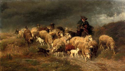 Heimkehr im Sturm: herding the flock