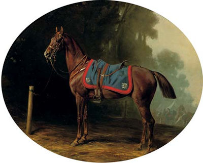 Conrad Freyberg - artist photo