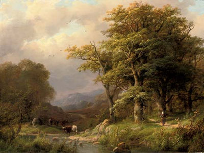 A tranquil afternoon in the woodlands