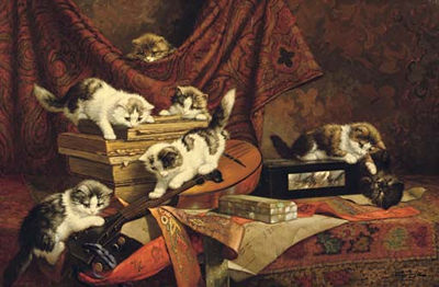 Playing kittens