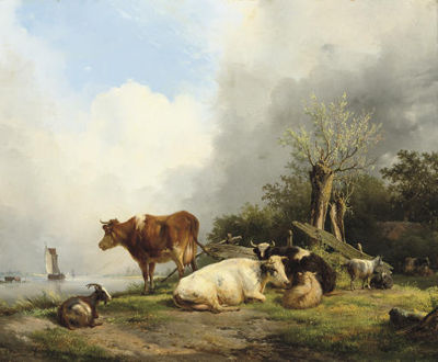 Cattle on a riverbank