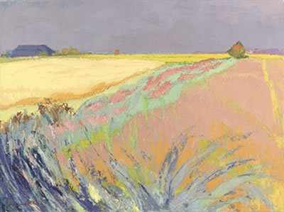 Cornfields