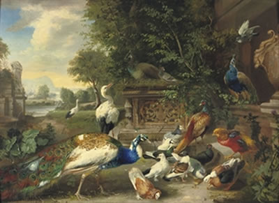 A feathered feast