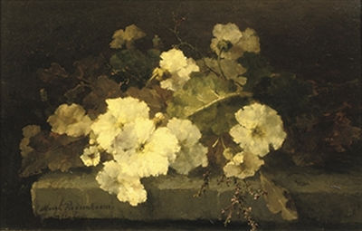 Still life with primroses on a stone ledge by Margaretha Roosenboom - Auction record, sale price, and art valuation. Compare with similar artists and explore comparable artworks.
