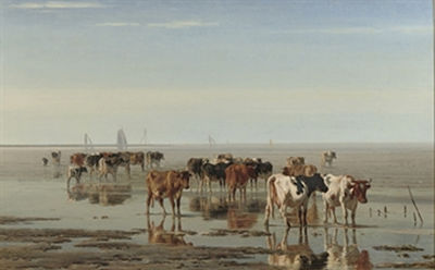 Cattle on the beach at low tide