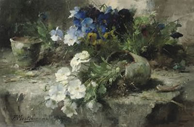 White and blue violets