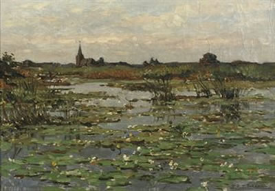 Kortenhoefsche Plassen: water-lilies near Kortenhoef