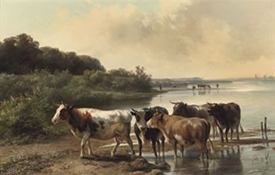 Cows on the embankment