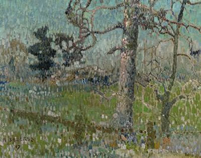 Trees in a field