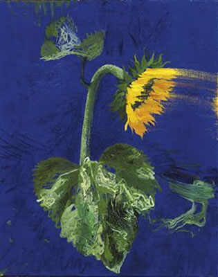 Zonnebloem by Erik Andriesse - Auction record, sale price, and art valuation. Compare with similar artists and explore comparable artworks.